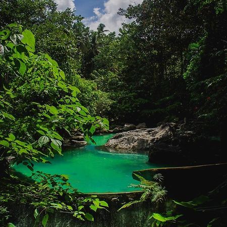 Forest Camp Resort Valencia  Luaran gambar