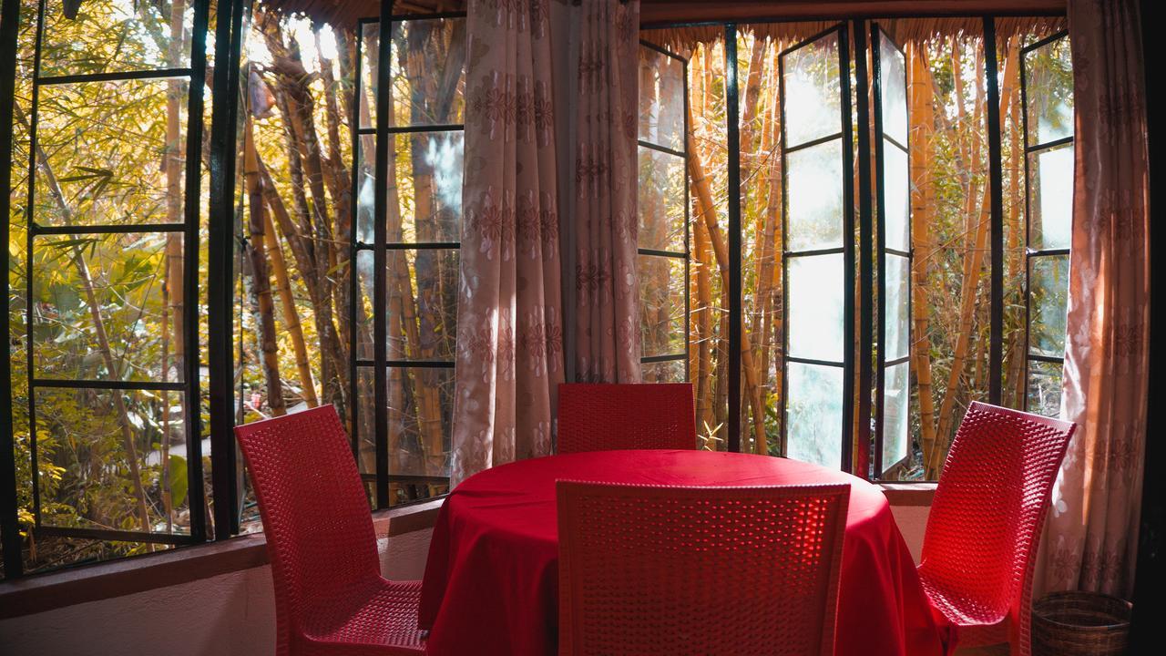 Forest Camp Resort Valencia  Luaran gambar