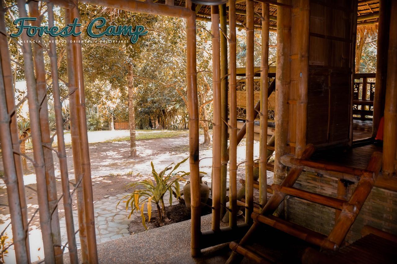 Forest Camp Resort Valencia  Luaran gambar