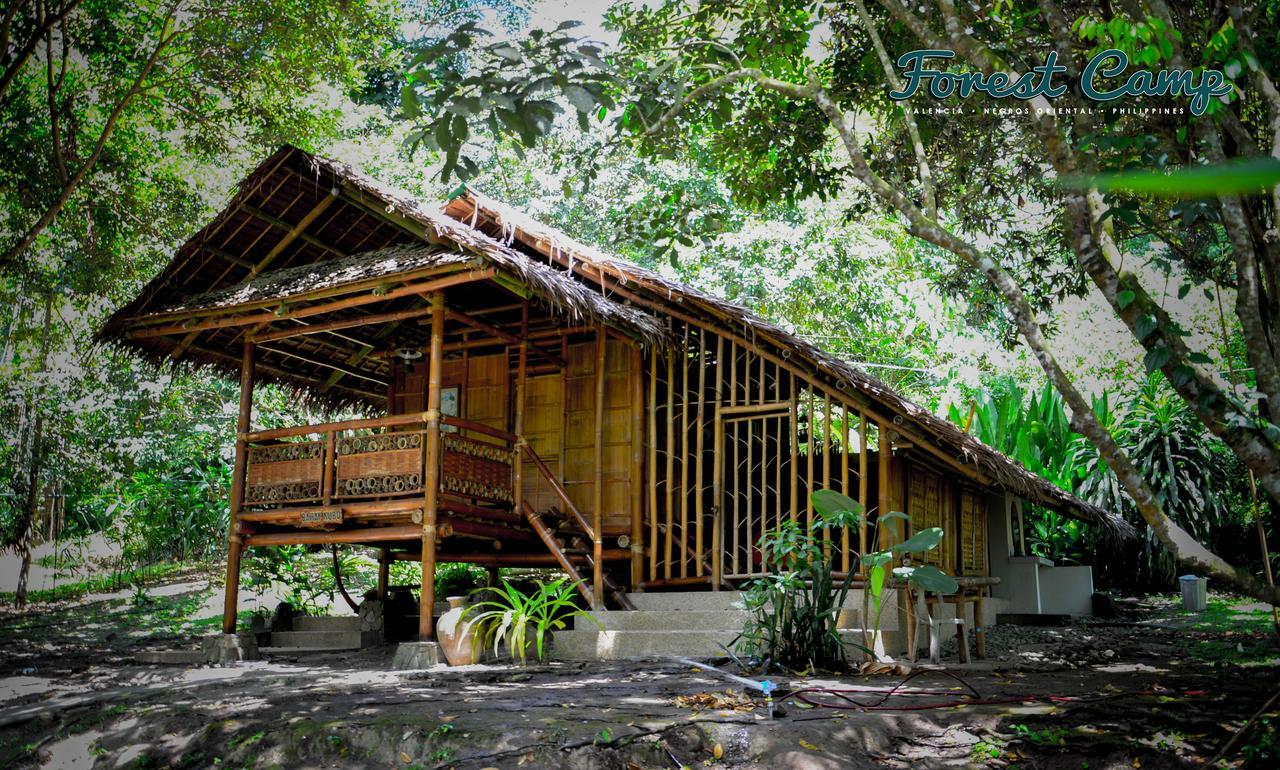 Forest Camp Resort Valencia  Luaran gambar